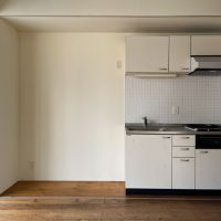 大阪市北区大淀中1丁目の賃貸物件/このキッチン実は、