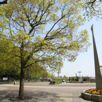 大阪市住吉区大領4丁目の賃貸物件/長居公園には植物園や博物館もあります