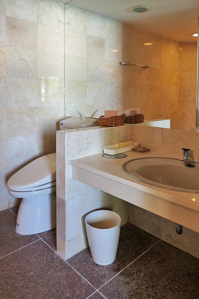 東大阪市客坊町の売買物件/VIPルームのサニタリーは大理石貼りの豪華仕様