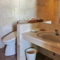 東大阪市客坊町の売買物件/VIPルームのサニタリーは大理石貼りの豪華仕様