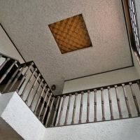 池田市旭丘2丁目の賃貸物件/玄関吹抜け。天井のアクセントタイルが素敵なんです。