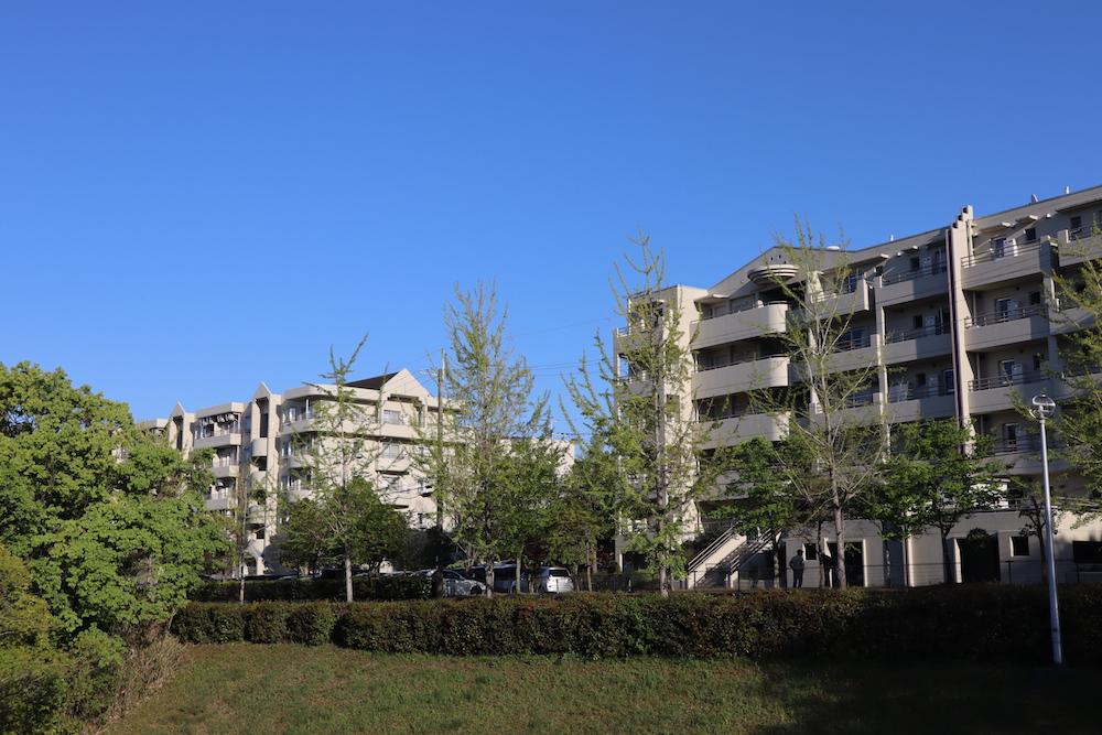 公園の向こうに見えるマンション群。