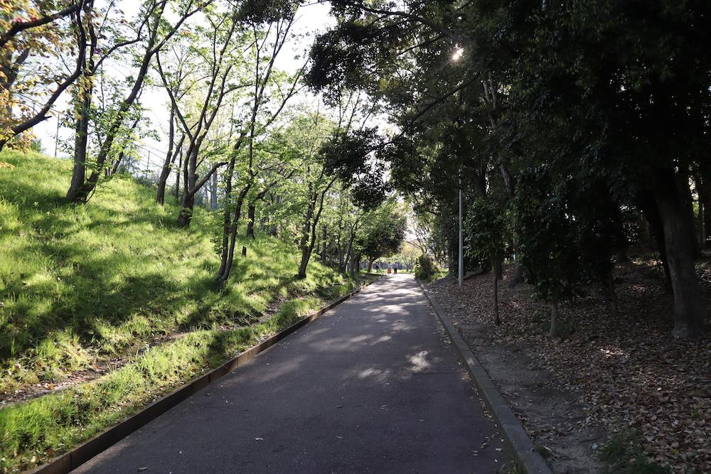 どこへ行くにも、緑がモリモリ茂った緑道を通っていける。