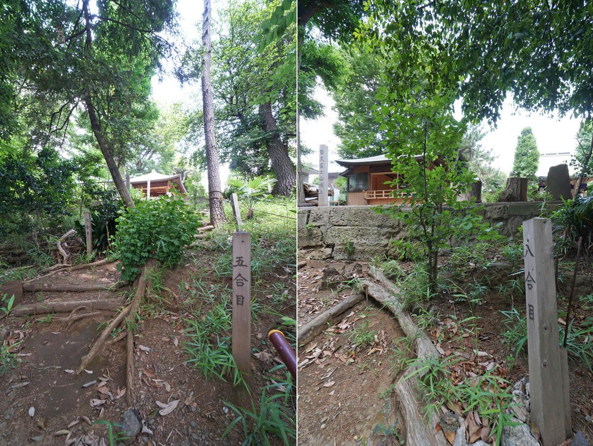 鳥居の階段以外に、登山道っぽいもう一つのルートもあります