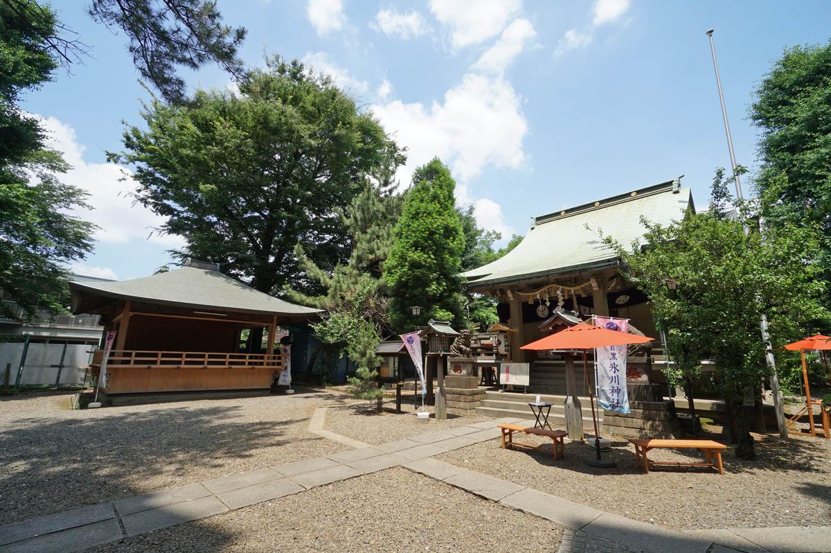 この氷川神社の奥に隣接した立地です