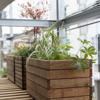 横浜市都筑区池辺町の賃貸物件/無機質の鉄骨フレームと対照的な植栽の緑