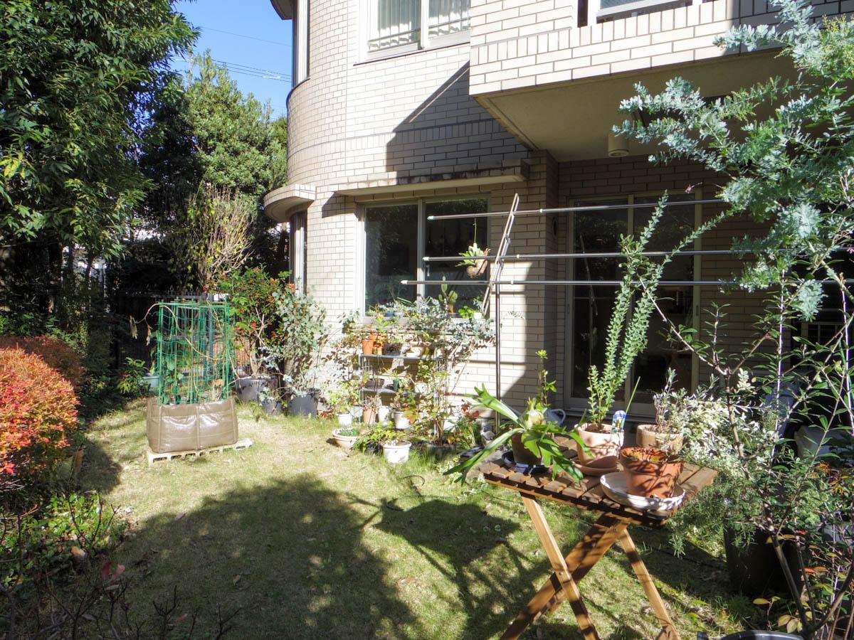 63㎡の広い庭。植物好きの方にはたまらない