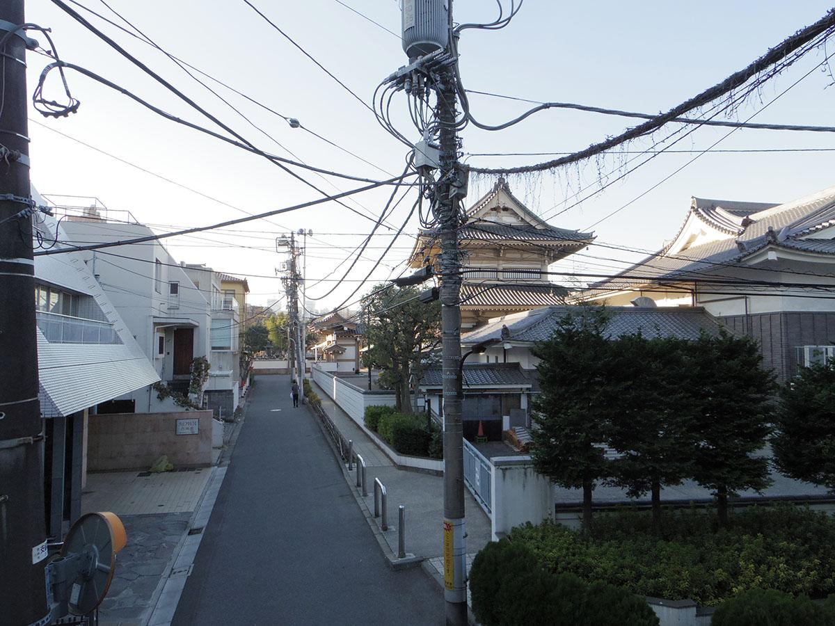 港区西麻布の賃貸物件/2階からの眺望。すぐそこに由緒ただしき長谷寺