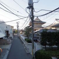 港区西麻布の賃貸物件/2階からの眺望。すぐそこに由緒ただしき長谷寺