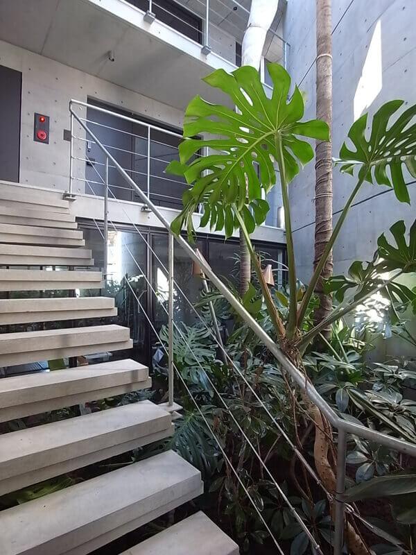共用階段。中庭にはシンボリックな植物が植えられています