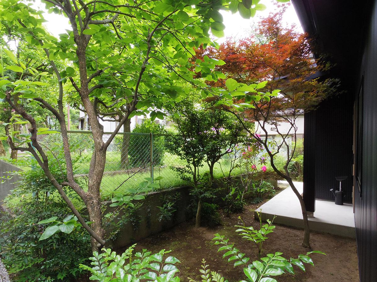 板橋区若木の賃貸物件/こぢんまりとした庭。フェンスの奥は公園のため抜け感あり