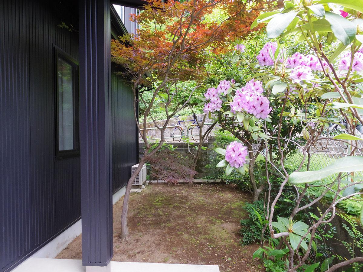 板橋区若木の賃貸物件/四季折々の表情を見せてくれる