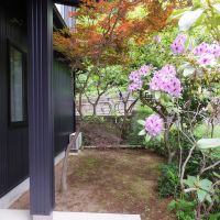 板橋区若木の賃貸物件/四季折々の表情を見せてくれる