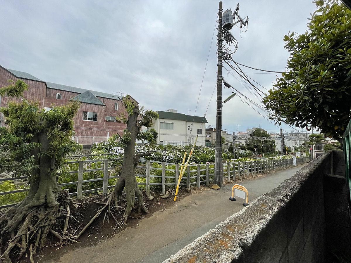 ウッドデッキから見た景色。道路より低いところに井の頭線が通っている