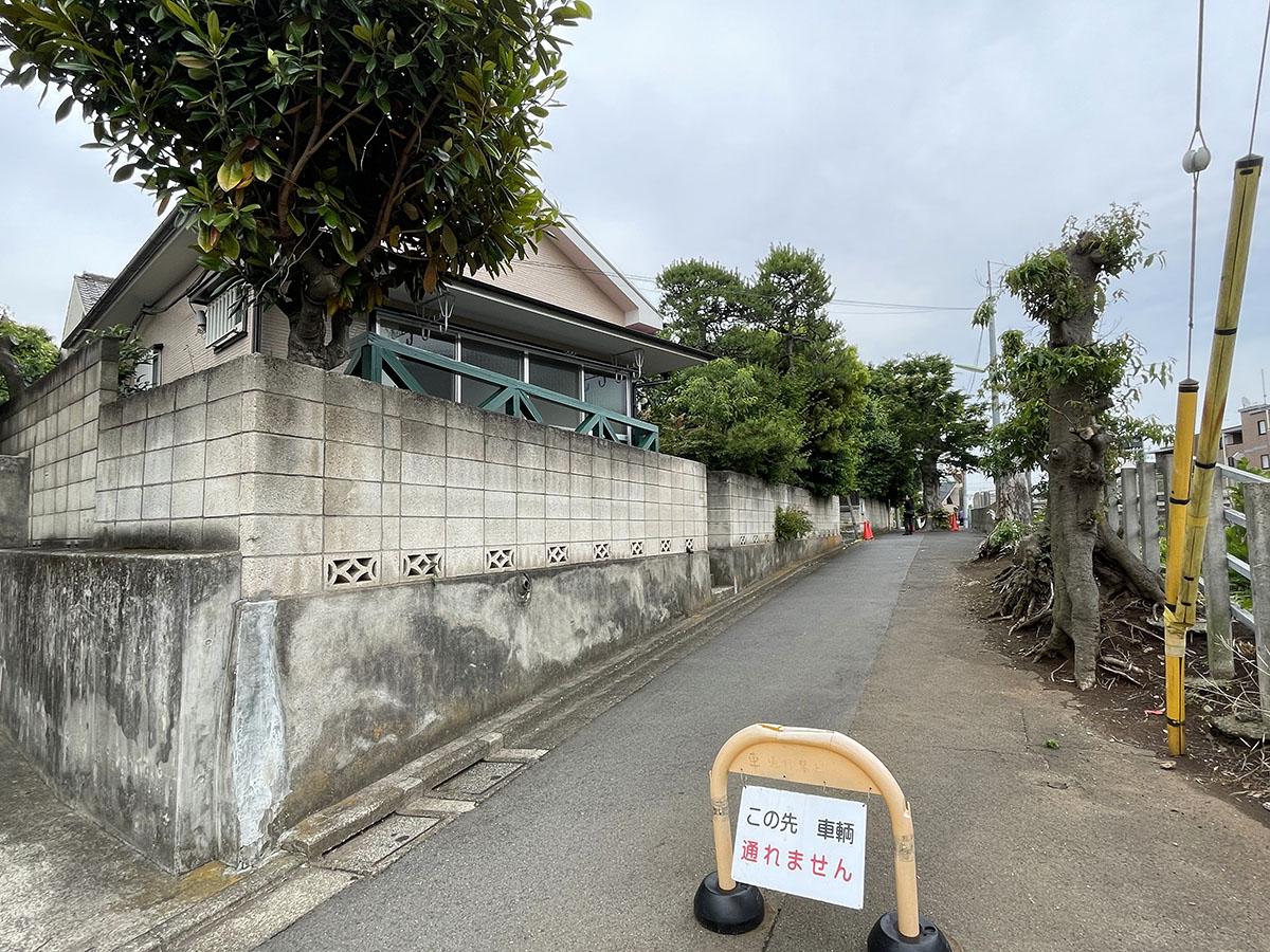 建物前面の道。道路の真ん中に木が立っていて、車は通れない。このあたりでは少し有名なスポット
