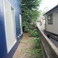 世田谷区瀬田の賃貸物件/地下1階 桜の木の方を見る