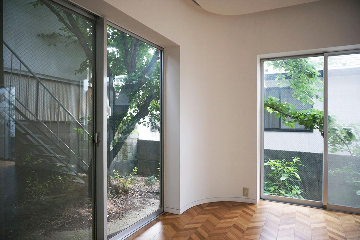 世田谷区瀬田の賃貸物件/桜の木が生えています