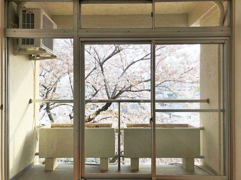 春には窓の先がピンクに染まる。バルコニーには花壇が備え付けられていて、このデザインもレトロでいい