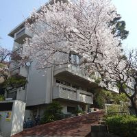 大田区山王の賃貸物件/春には敷地内の桜が満開に！