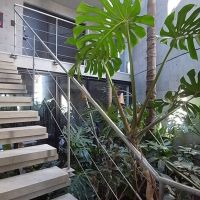 杉並区久我山の賃貸物件/共用階段。中庭には「SOLSO FARM」で選んできた植物が。