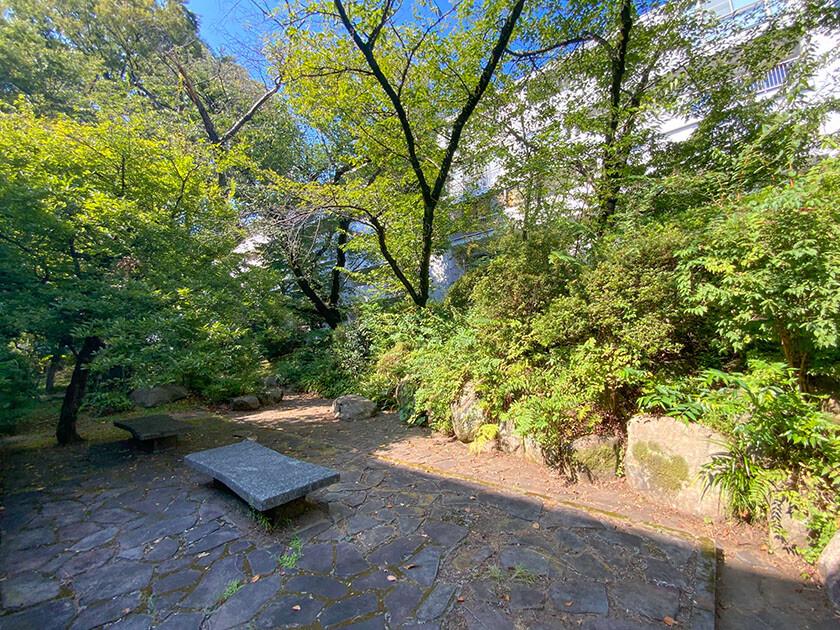 東京都港区白金台の賃貸物件/敷地内の中庭