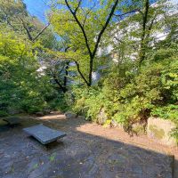 東京都港区白金台の賃貸物件/敷地内の中庭