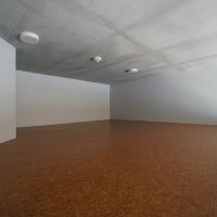 世田谷区経堂の賃貸物件/ロフトは照明付。普段使わない荷物を置きましょう。