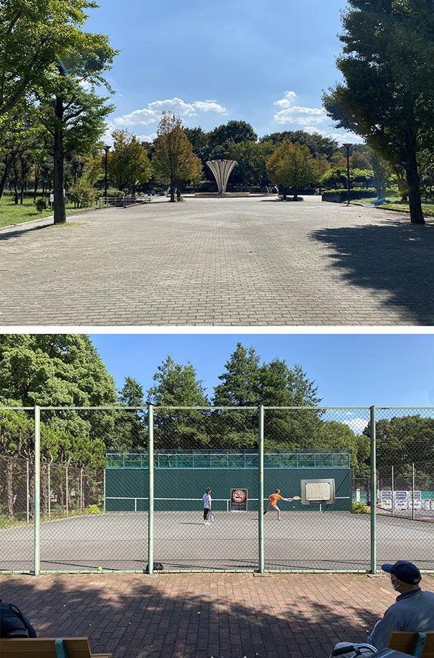 赤塚公園はテニスコートと野球場