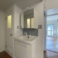 板橋区蓮根の賃貸物件/しっかり収納のある洗面（206号室）