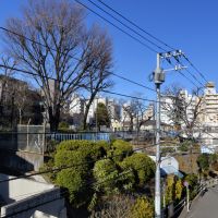 新宿区高田馬場の賃貸物件/バルコニーから右を向けば公園（正面は建物です）