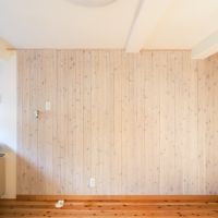 中野区中野の賃貸物件/壁にも木があしらわれていて、ほっこりする空間