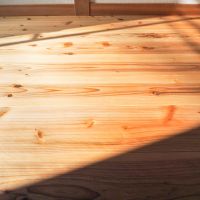 中野区中野の賃貸物件/晴れている日はこのような日当たり