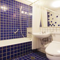 港区赤坂の賃貸物件/トイレと浴室は同室。フランス製のタイルがポイント