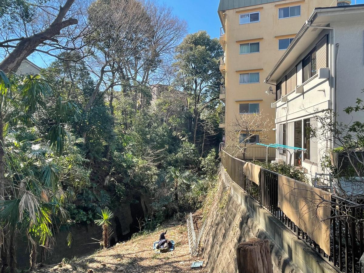 世田谷区等々力の賃貸物件/当物件は黄色いマンション。すぐ横が等々力渓谷です