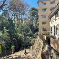 世田谷区等々力の賃貸物件/当物件は黄色いマンション。すぐ横が等々力渓谷です