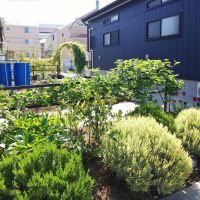 足立区六町の賃貸物件