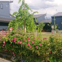 足立区六町の賃貸物件