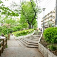 文京区本郷の賃貸物件/すぐ近所には、公園もある