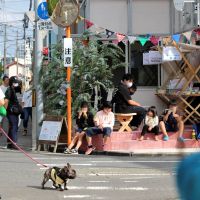 埼玉県戸田市下戸田の賃貸物件/マルシェ開催時の風景
