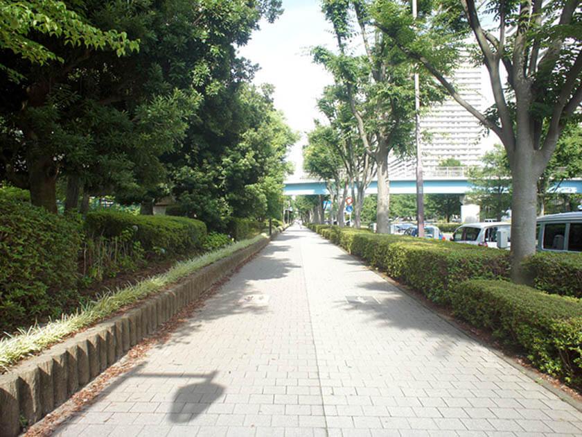 駅から物件までの並木道