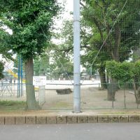 練馬区桜台の賃貸物件/建物目の前は学校の校庭