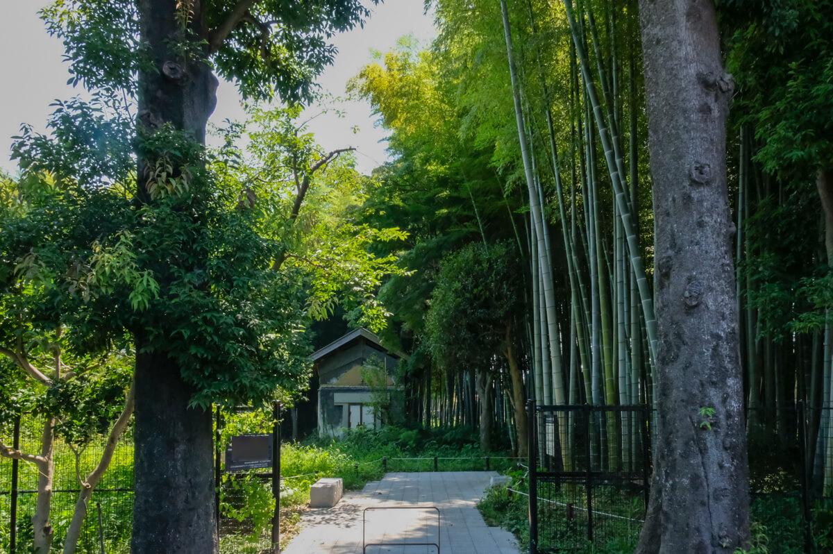 世田谷区喜多見の賃貸物件/敷地のすぐ東側に広がる竹林