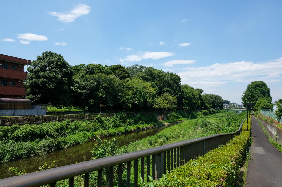 世田谷区喜多見の賃貸物件/近くを流れる野川