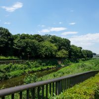 世田谷区喜多見の賃貸物件/近くを流れる野川