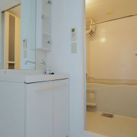 川崎市宮前区神木本町の賃貸物件/洗面台