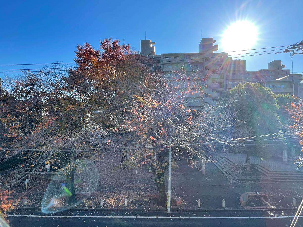 世田谷区桜丘の賃貸物件/窓の外には公園の緑が広がります