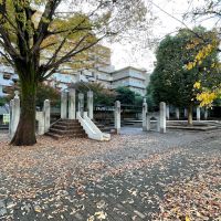 世田谷区桜丘の賃貸物件/建物の前の公園