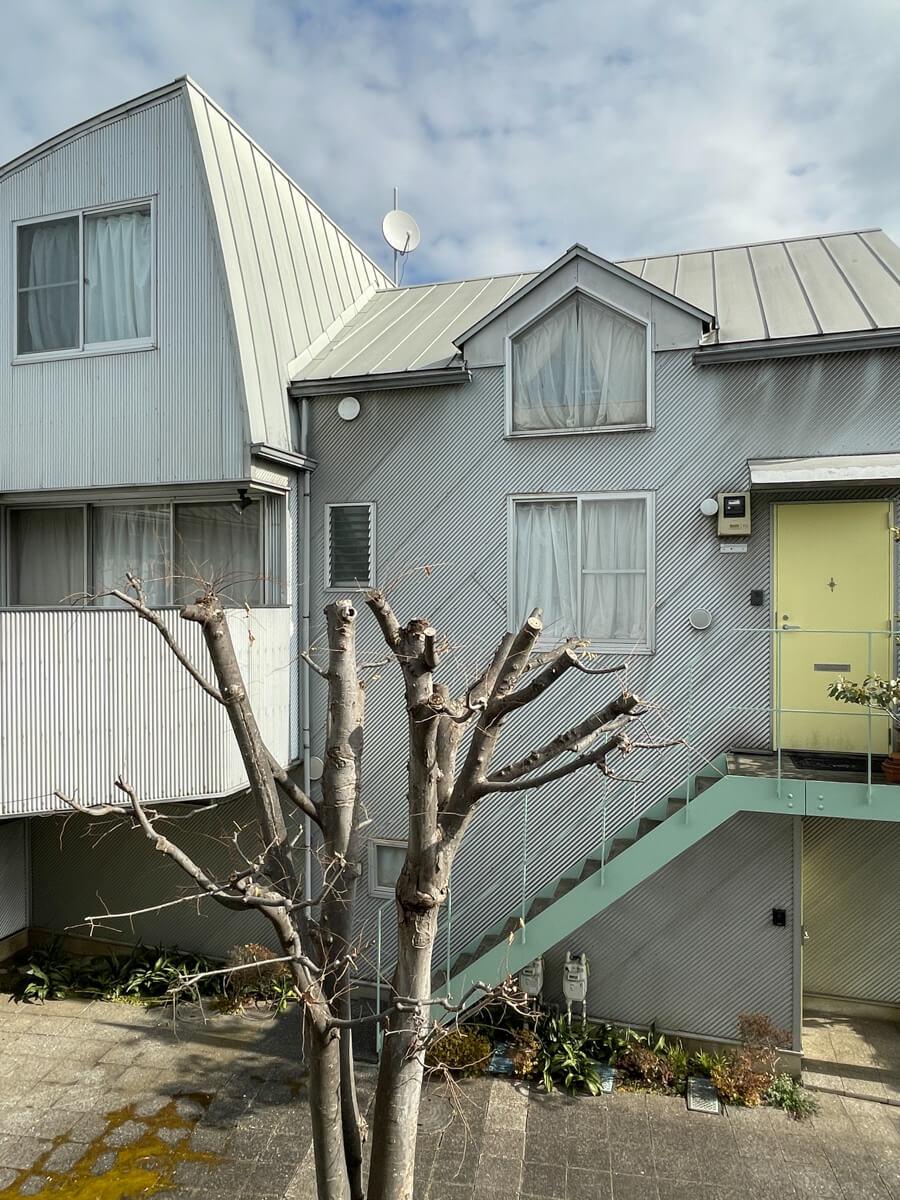 練馬区南田中の賃貸物件/2階からの眺め：すぐに育ち緑でいっぱいになります