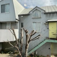 練馬区南田中の賃貸物件/2階からの眺め：すぐに育ち緑でいっぱいになります