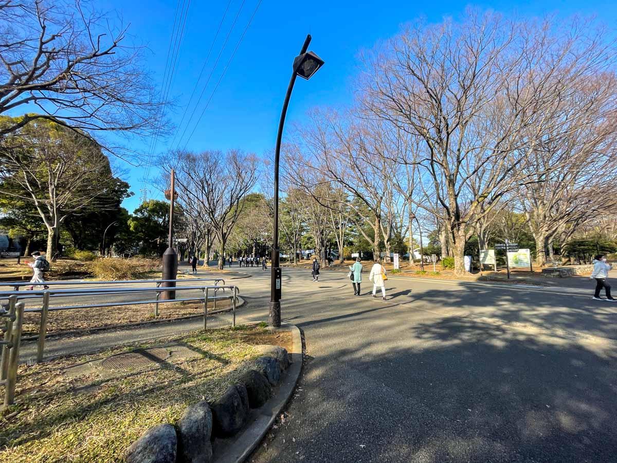 世田谷区駒沢の賃貸物件/駒沢公園を抜けて駅まで行ける